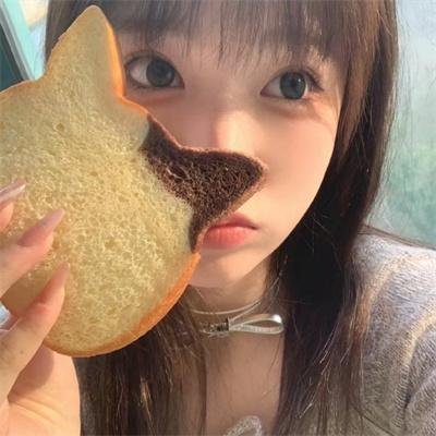 南极探险